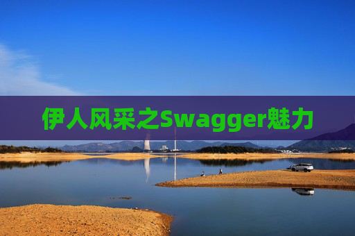伊人风采之Swagger魅力