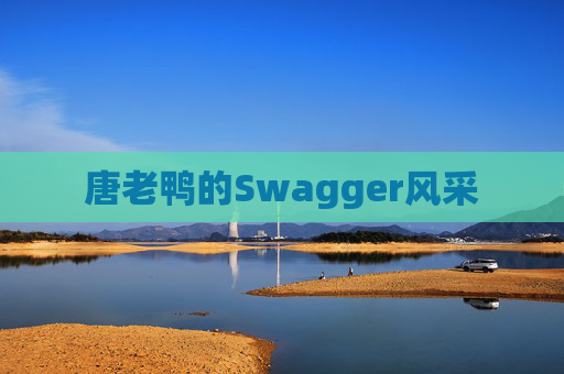 唐老鸭的Swagger风采