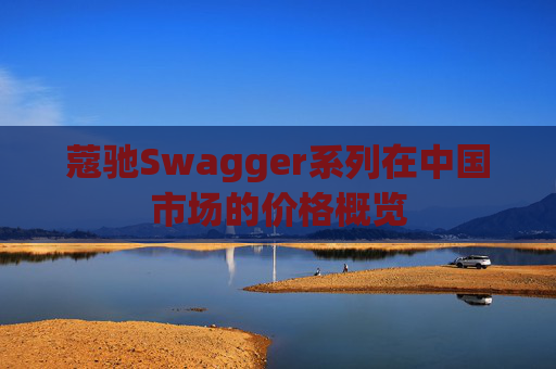 蔻驰Swagger系列在中国市场的价格概览