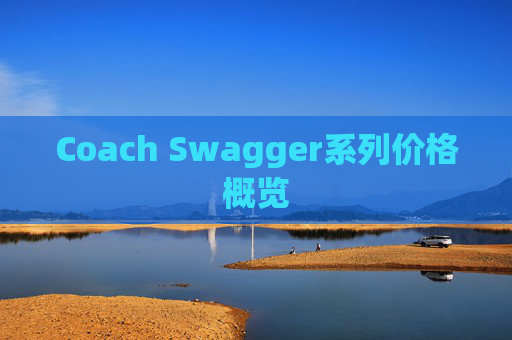 Coach Swagger系列价格概览