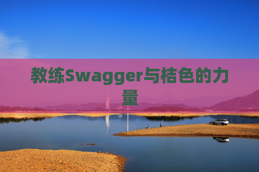 教练Swagger与桔色的力量