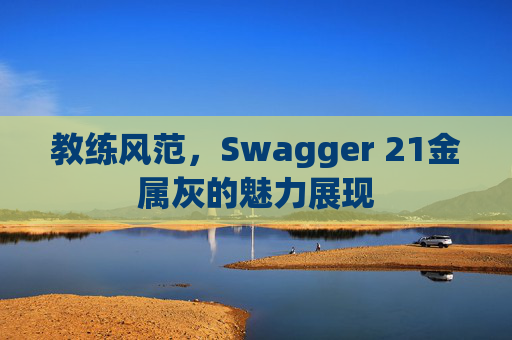 教练风范，Swagger 21金属灰的魅力展现