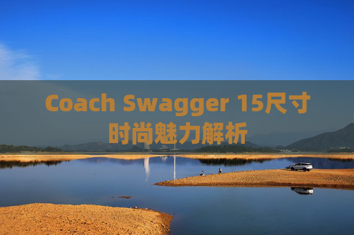 Coach Swagger 15尺寸时尚魅力解析