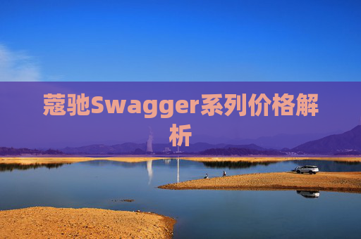 蔻驰Swagger系列价格解析