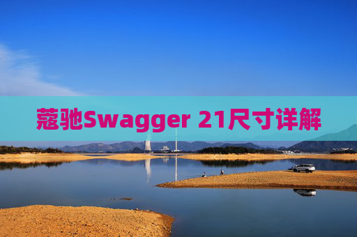 蔻驰Swagger 21尺寸详解